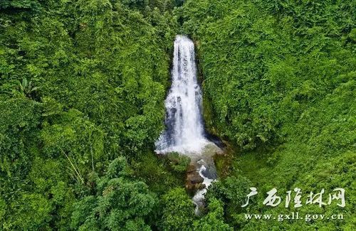 广西有哪些瀑布？隆林到金钟山要要多久