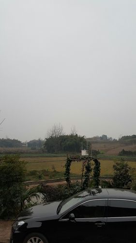 德阳天元歇月村要全部占吗？从仁寿到高家的快递要多久