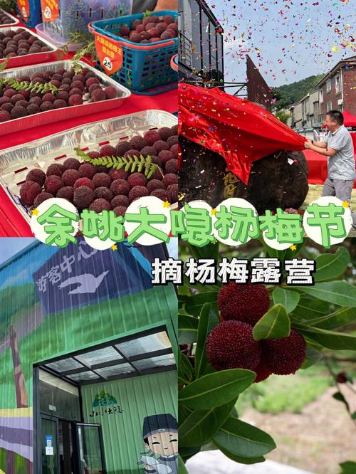 宁波杨梅什么时候下市？7月余姚多久没下雨了