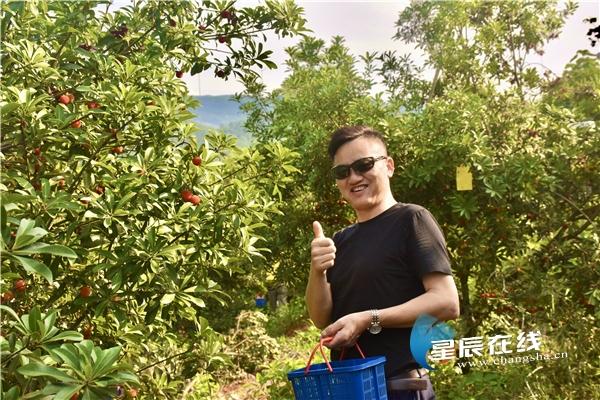 铁山坪杨梅哪里采摘？上饶市到铁山多久