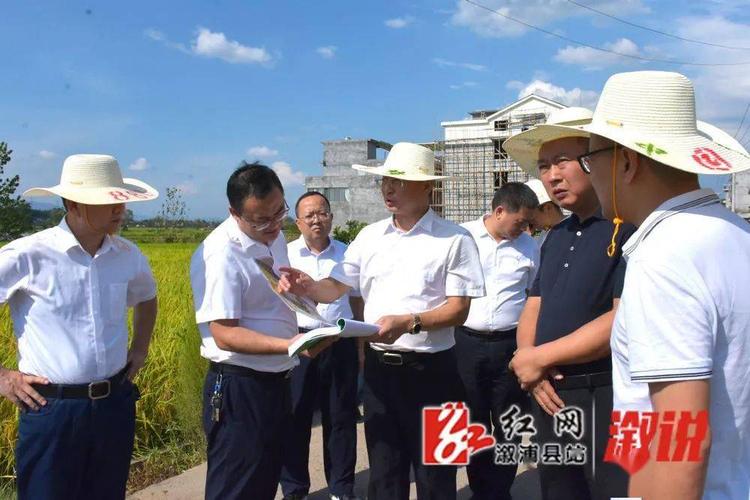 2009年7月开工的新化县至溆浦高速公路预计什么时候建成通车？溆浦县到桥江镇要多久