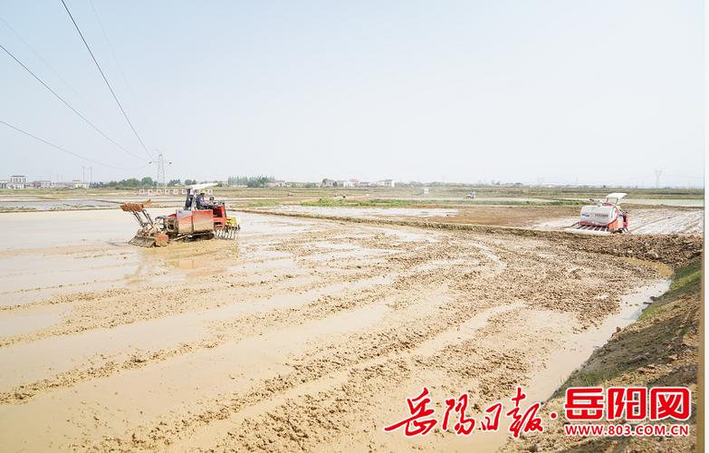 筻口今年修路吗？岳阳到筻口要多久